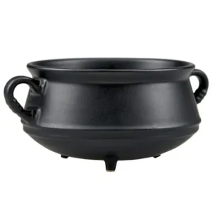 Universal Orlando Resort Cauldron Bowl* Home Decorations