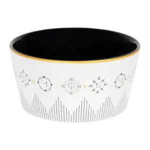 Universal Orlando Resort Magical Spells Bowl* Home Decorations